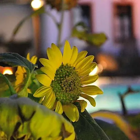 Anthonas Aparthotel Imerovigli (Santorini)