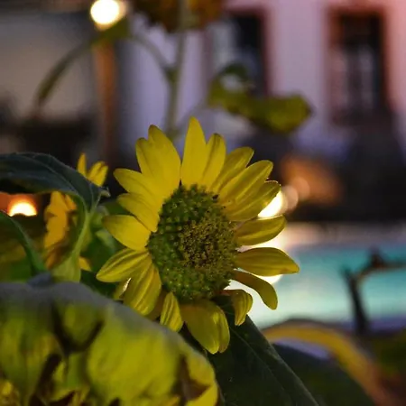 Anthonas Apart-hotel Imerovigli (Santorini)