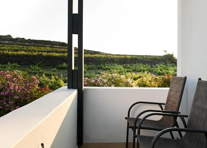 アントナス イメロヴィグリ