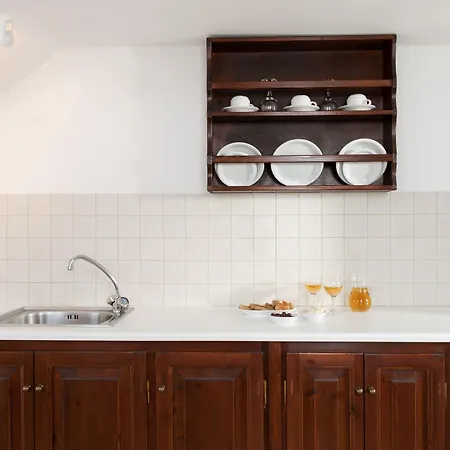 מלון דירות Anthonas