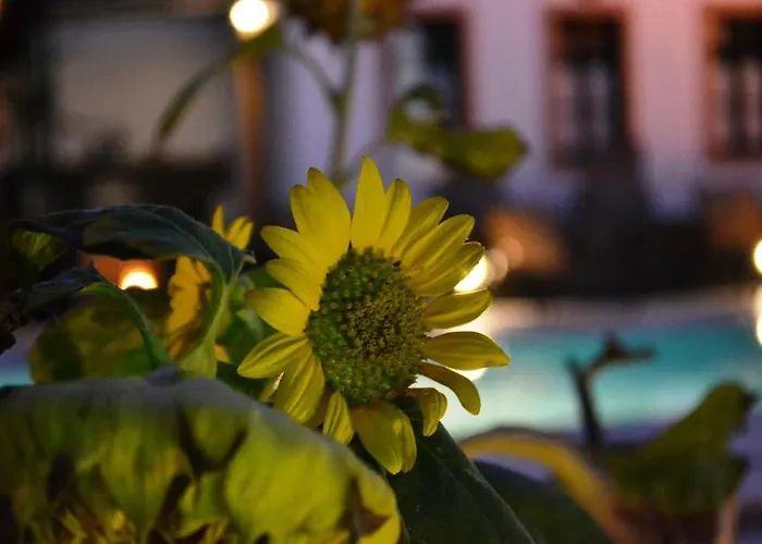 Anthonas Lejlighedshotel Imerovigli (Santorini)